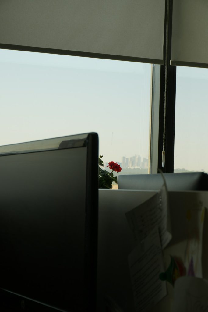 ISO 9001 לעסקים קטנים: מדריך 2026